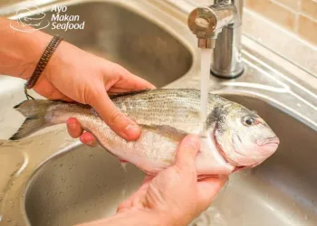 Tips Membersihkan Ikan Agar Tidak Pahit